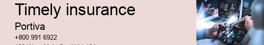 timely insurance