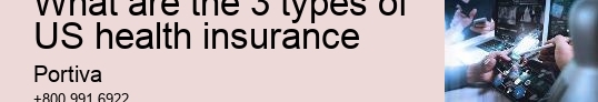 What are the 3 types of US health insurance